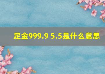 足金999.9 5.5是什么意思